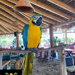 Eden 111, Perla Resort, Bay Of Lalzi Willa *