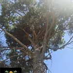Eden 111, Perla Resort, Bay Of Lalzi *
