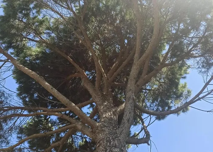 Eden 111, Perla Resort, Bay Of Lalzi *